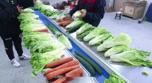 浙江皓源机械蔬菜包装机视频